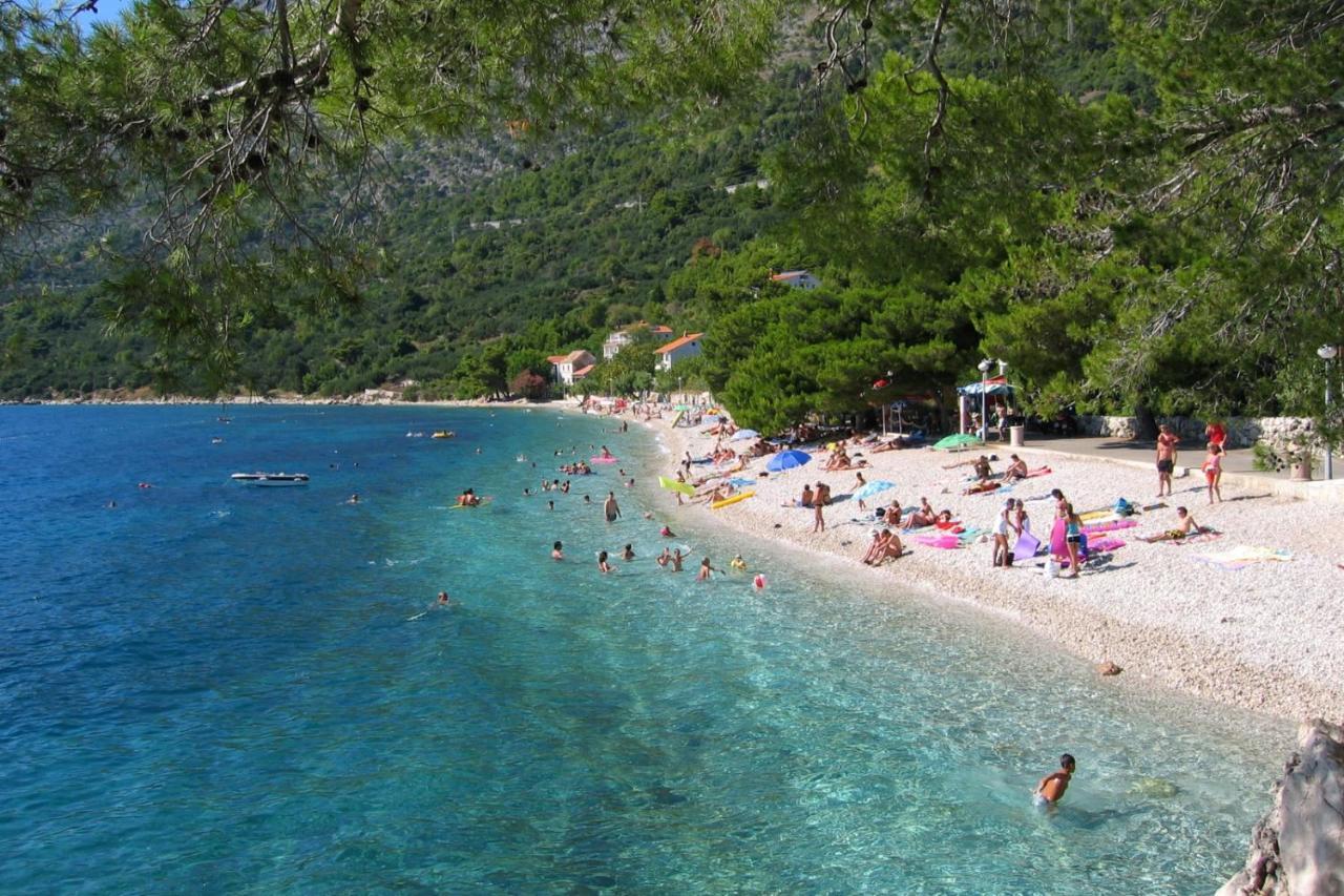 Apartments By The Sea Zivogosce - Porat, Makarska - 20207 Igrane Dış mekan fotoğraf
