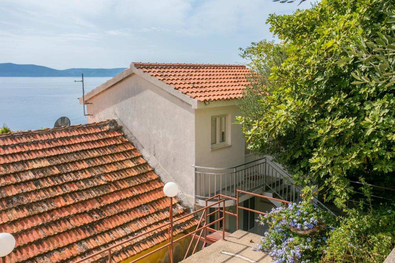 Apartments By The Sea Zivogosce - Porat, Makarska - 20207 Igrane Dış mekan fotoğraf